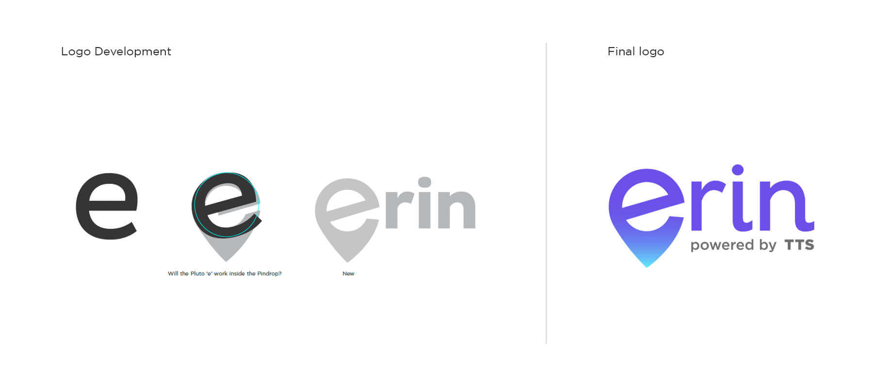 Erin Logo development